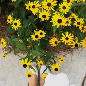 Meet your Posher, Kelly